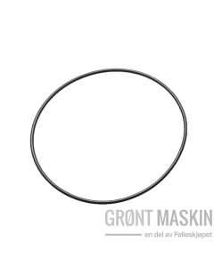 Maschio O-ring for filter innsats 2,62X101,27mm