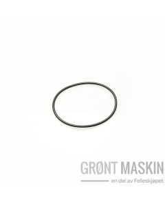 Maschio O-ring for filter til CR