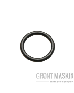 Maschio O-ring GB