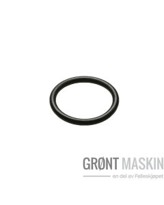 O-ring 25.0 X 3.0 Gasco