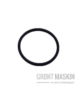 Maschio Gaspardo O-ring for filterskrue 2,62X101,27mm