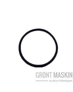 Maschio Gaspardo O-ring filter jub./ CR sprøyte