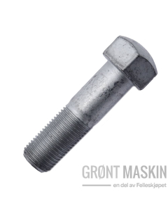 Massano Extrem Skrue 16x55x1,5mm 12,9