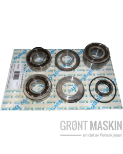 Bauer Repair kit bearing gasket gear shaft SM54