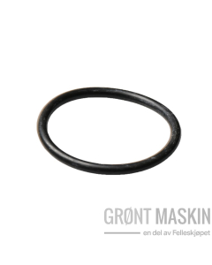 Arag O-ring 3,53x39,69